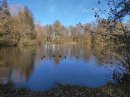 Etang de Bennechiens